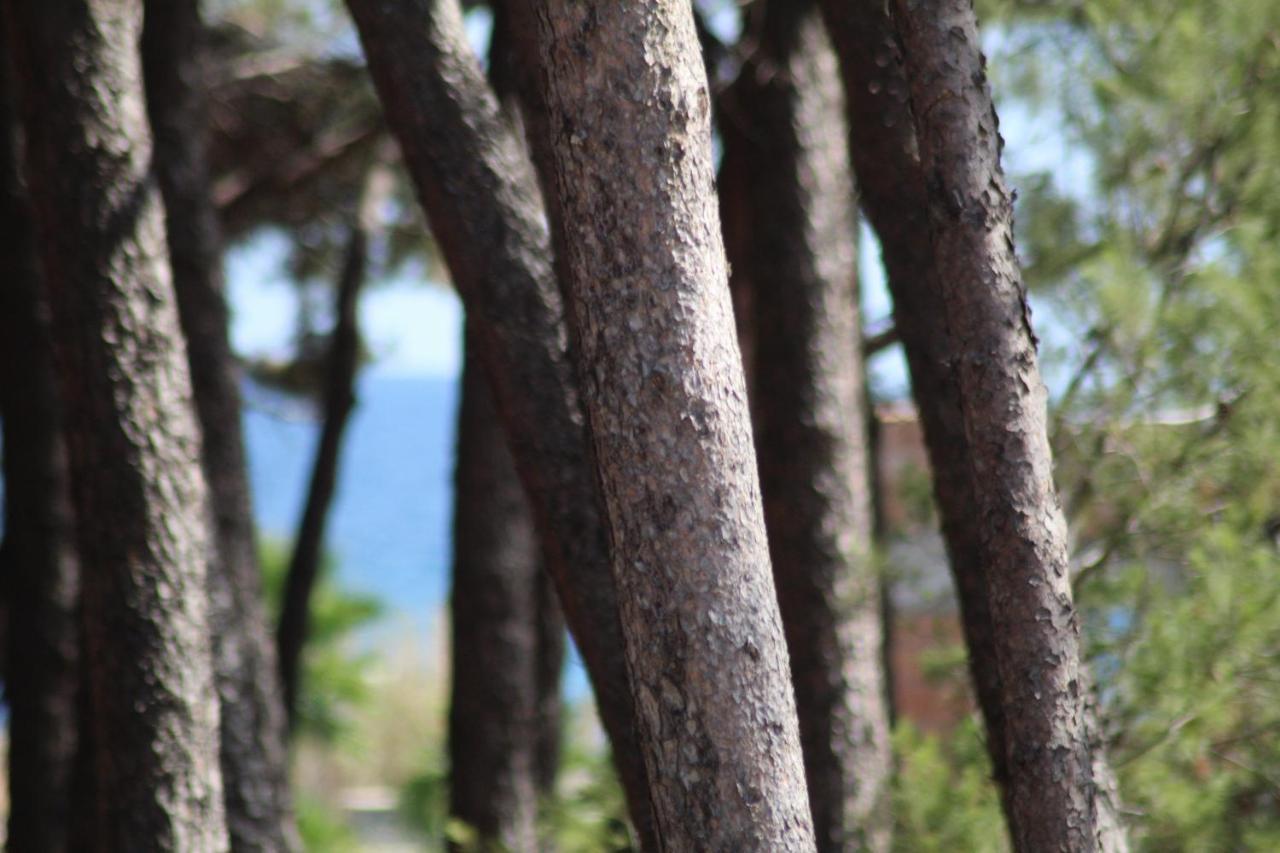 Park Hotel Le Dune Di Giovino Catanzaro Zewnętrze zdjęcie