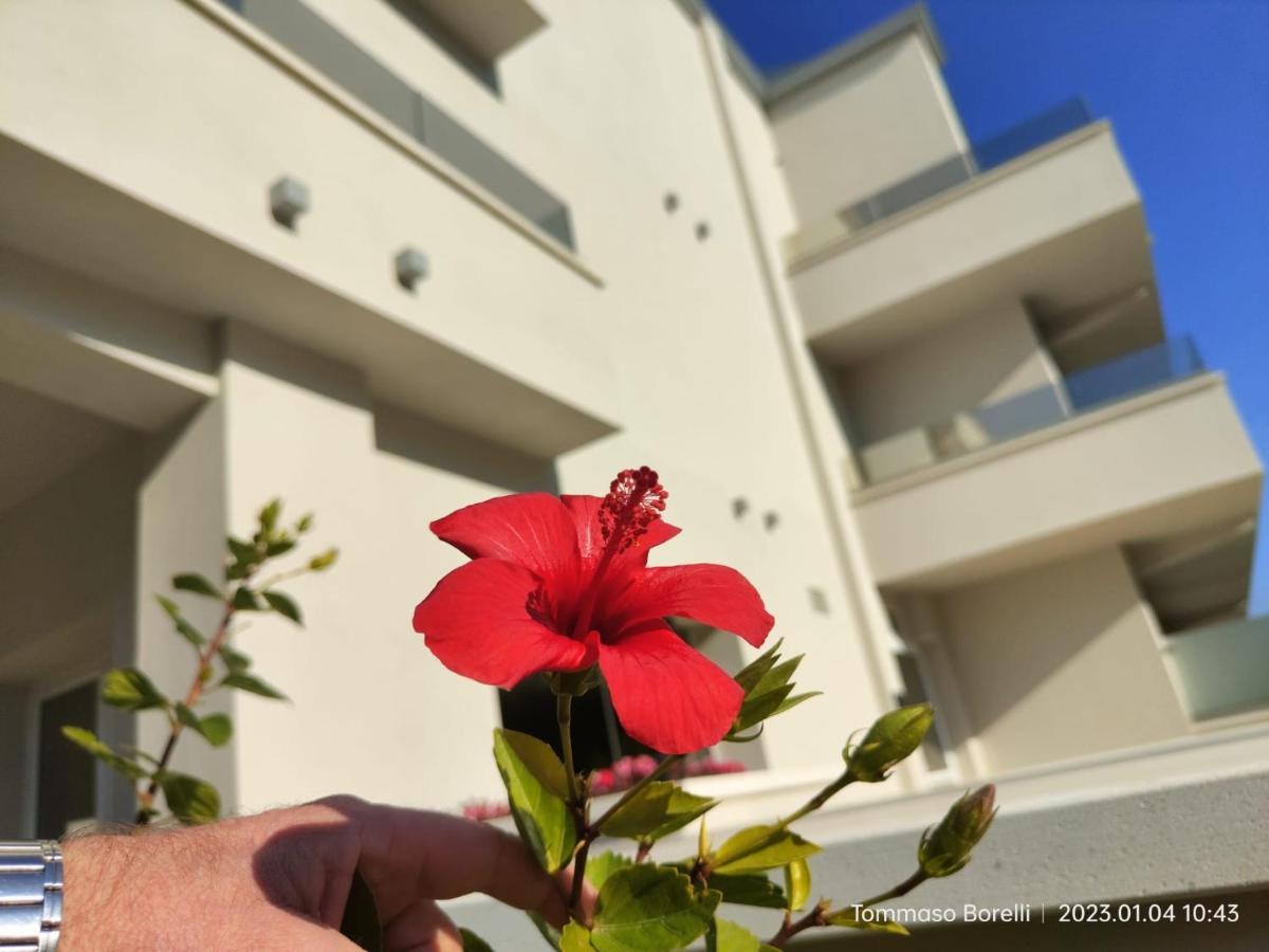 Park Hotel Le Dune Di Giovino Catanzaro Zewnętrze zdjęcie